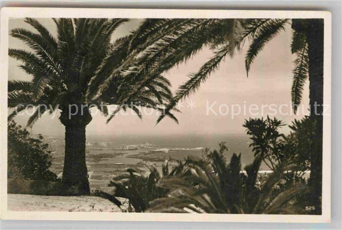 Algiers Panorama