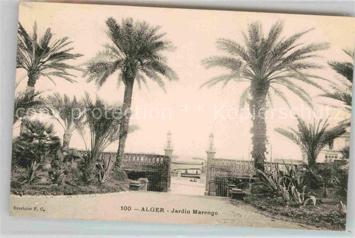 Alger Algerien Jardin Marengo