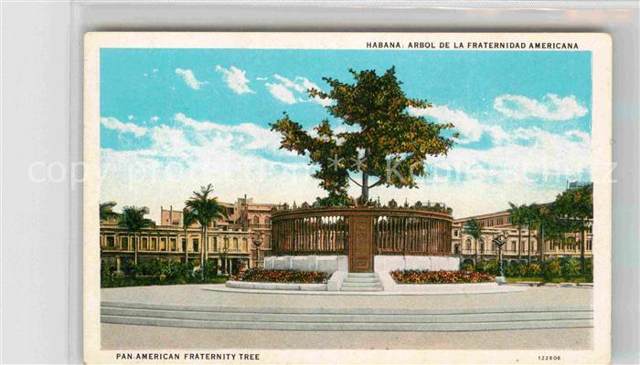 Habana Havana Arbol de la Fraternidad Americana