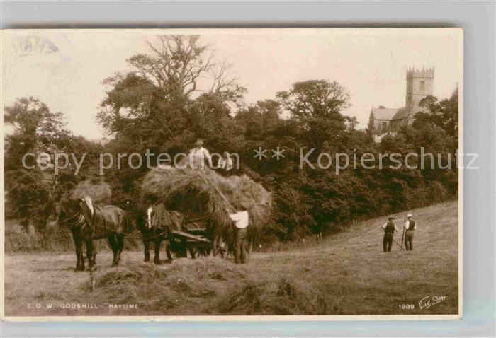 Godshill IOW Haytime