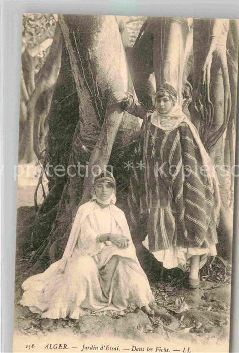 Alger Algerien Jardin d Essai Dans les Ficus