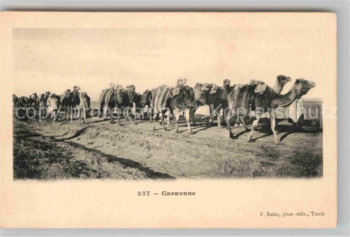 Tunesien Caravane