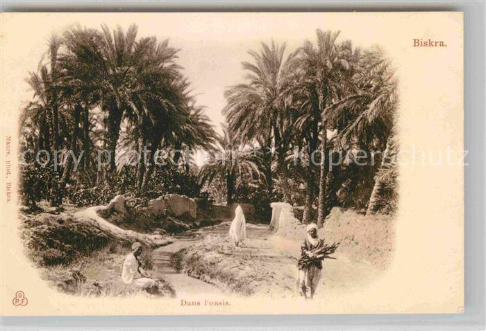 Biskra Dans l'oasis