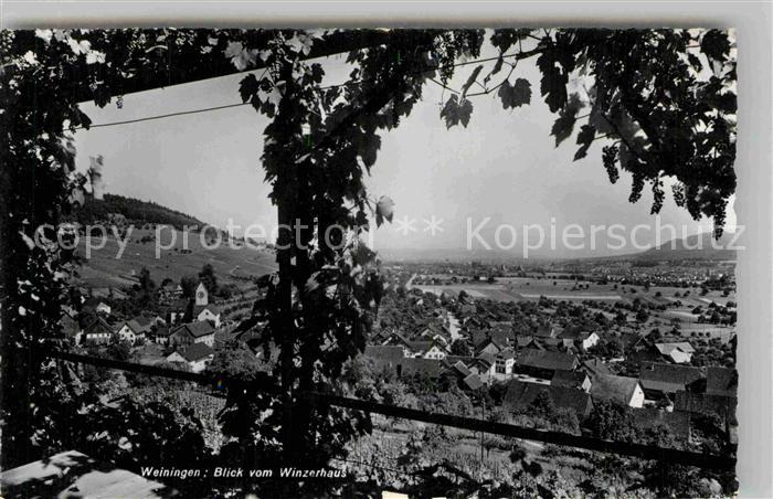 Weiningen ZH Blick vom Winzerhaus
