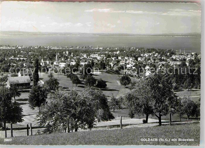 Goldach Rorschach Panorama