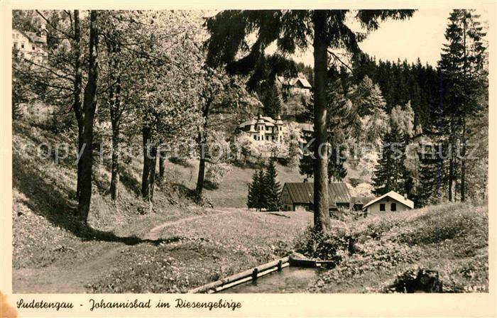 Johannisbad Riesengebirge Teilansicht