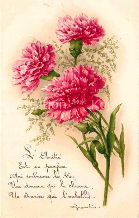 Blumen Nelken Gedicht Litho
