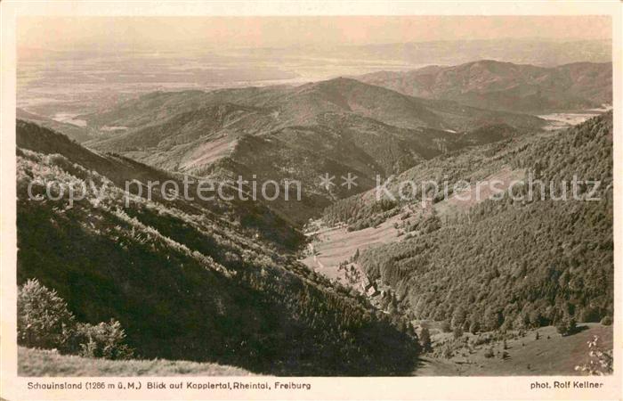 Foto Kellner Rolf Nr. 6701 Schauinsland Kapplertal Rheintal F