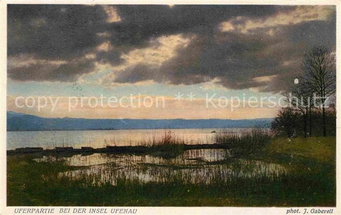 Foto Gaberell J. Nr. 2708 Insel Ufenau Uferpartie