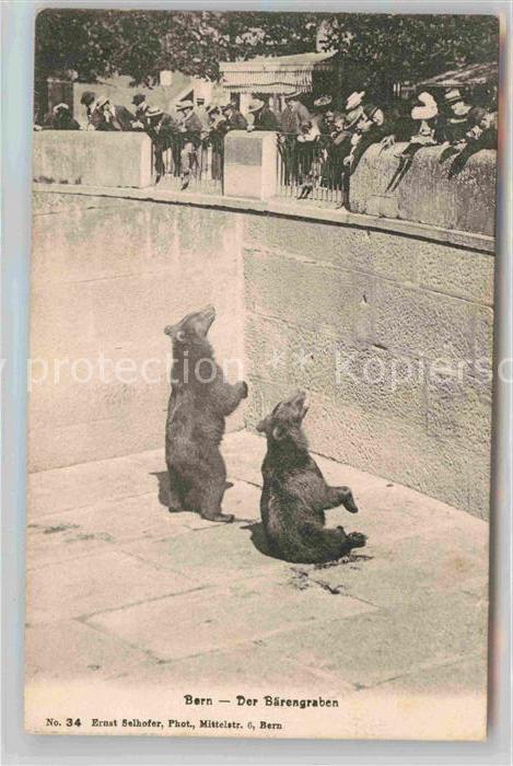 Baeren Bern Bärengraben