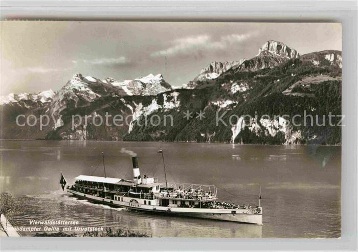 Dampfer Seitenrad Gallia Vierwaldstättersee Urirotstock