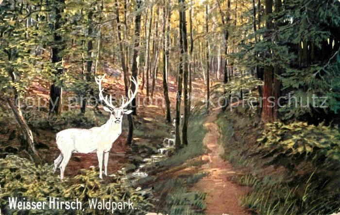 Verlag Wiedemann WIRO Nr. 1829 A Weisser Hirsch Waldpark