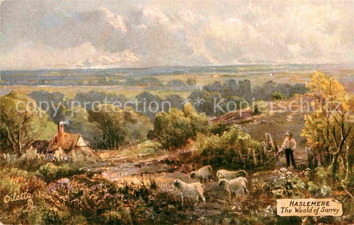 Verlag Tucks Oilette Nr. 7103 Haslemere The Weald of Surrey