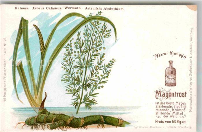 Medizin Pfarrer Kneipp's Magentrost Kalmus Acor