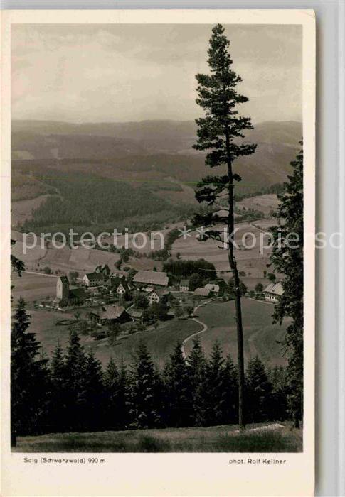 Foto Kellner Rolf Nr. 6264 Saig Schwarzwald