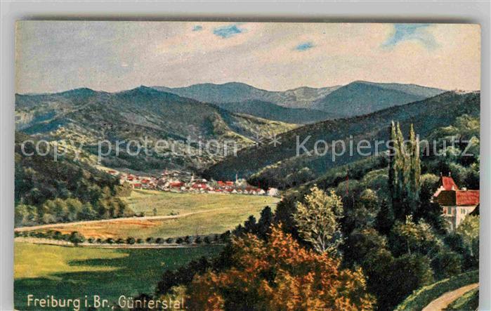 Verlag Wiedemann WIRO Nr. 1987 B Freiburg im Breisgau Guenterstal