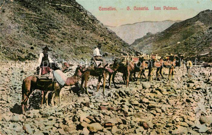 Gran Canaria Kamel Karavane