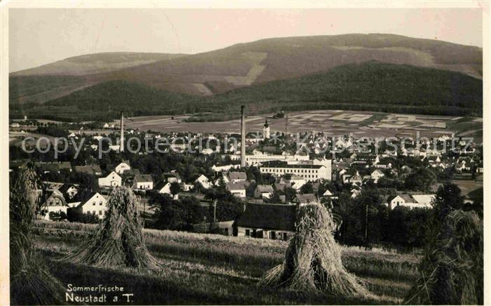 Neustadt Tafelfichte Nove Mesto pod Smrkem CZ Gesamtansicht