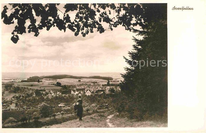 Dornstetten Wuerttemberg Panorama Kurgast