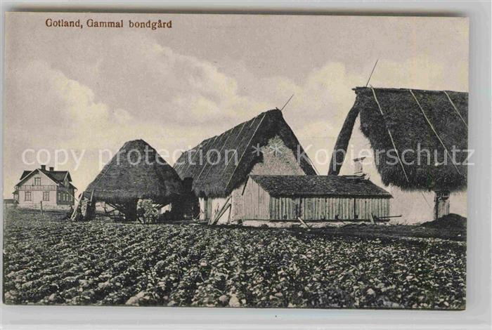 Gotland Gammal bondgard
