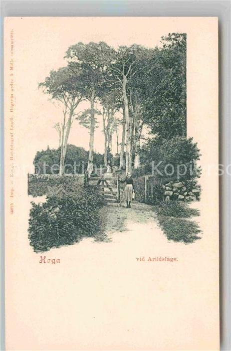 Haga Vid Arildslaege