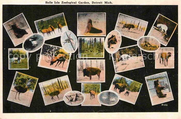Tiere Belle Isle Zoological Garden Detroit
