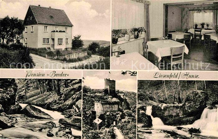 Liesenfeld Hunsrueck Pension Breder
