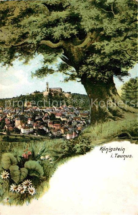 Koenigstein Taunus Burg Panorama