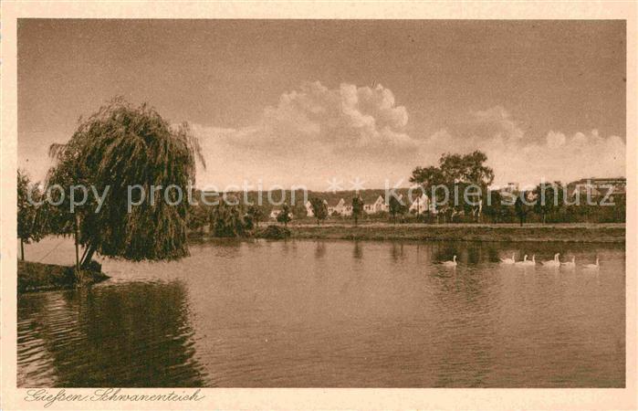 Giessen Lahn Schwanenteich