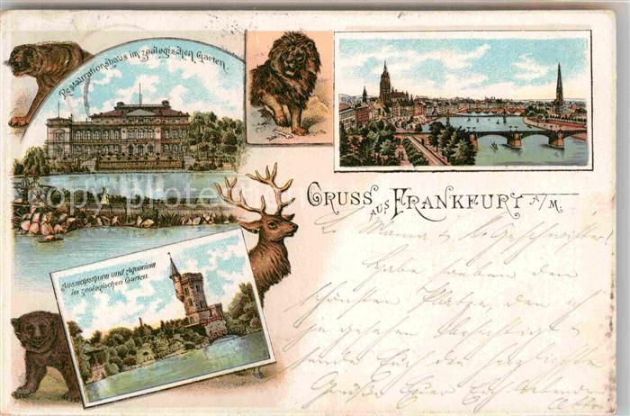 Frankfurt Main Mainansicht Dom Zoologischer Garten