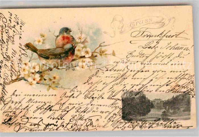 Frankfurt Main Zoologischer Garten Voegel