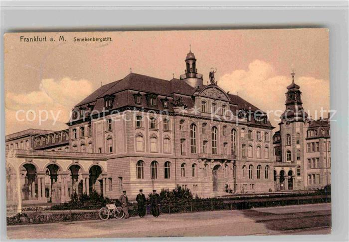 Frankfurt Main Senckenbergstift