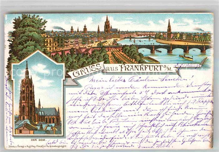 Frankfurt Main Dom Panorama