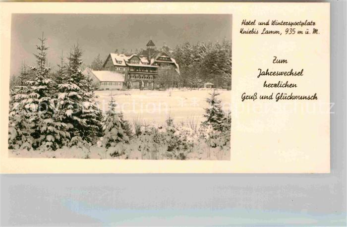 Lamm Kniebis Hotel Kurhaus Neujahrskarte Winter