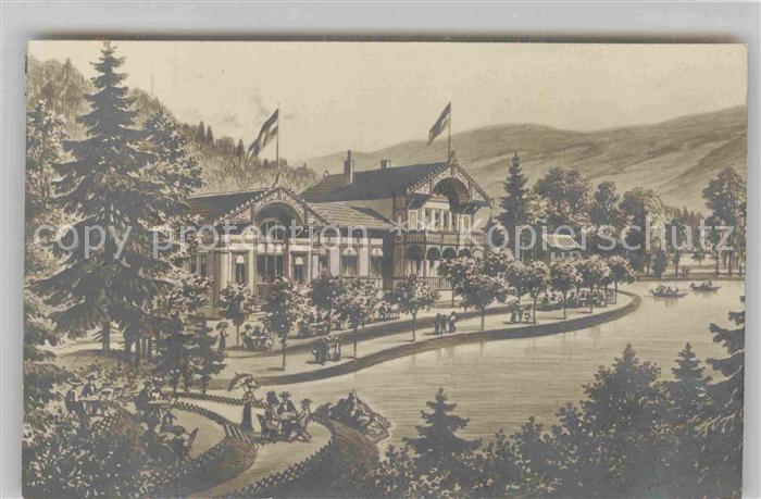 Freiburg Breisgau Waldsee