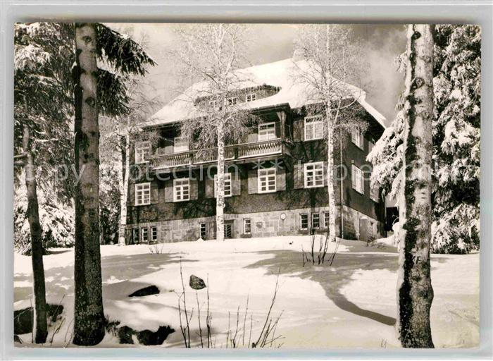 Kniebis Freudenstadt Naturfreundehaus Winter