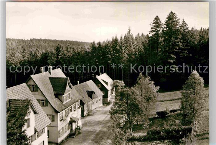 Steinwald Gasthof Pension