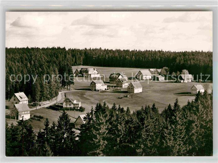 Kniebis Freudenstadt Panorama