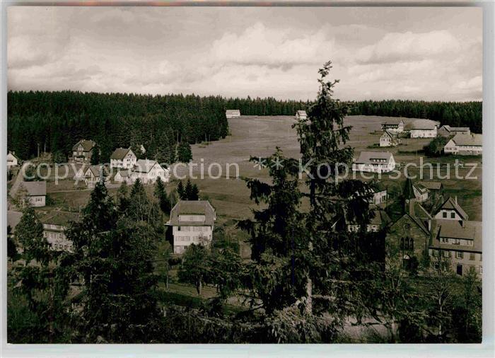 Kniebis Freudenstadt Panorama