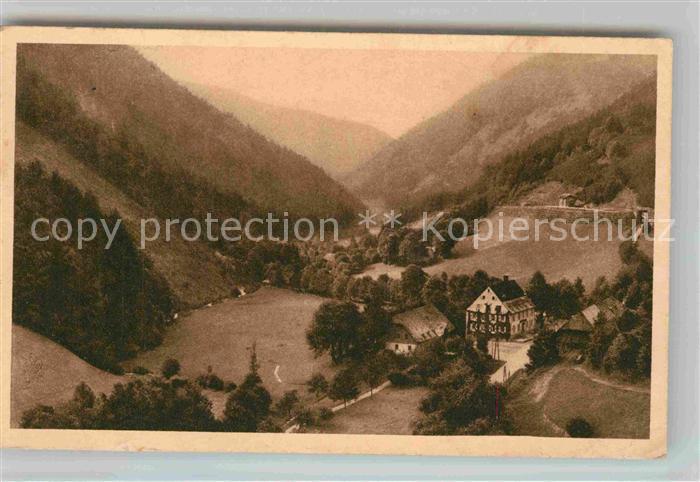 Schwarzwald Panorama