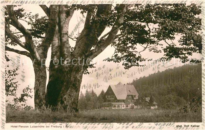 Freiburg Breisgau Hotel Pension Luisenhoehe