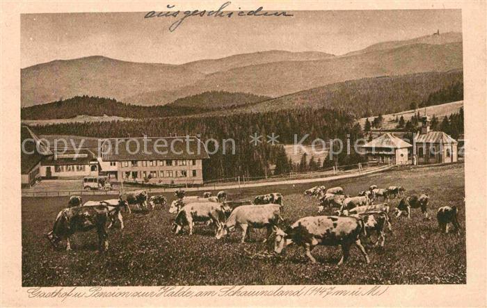 Schauinsland Gasthof Pension Halde