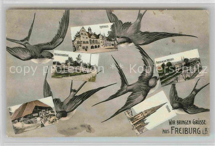 Freiburg Breisgau Kaufhaus Muenster Bruecke