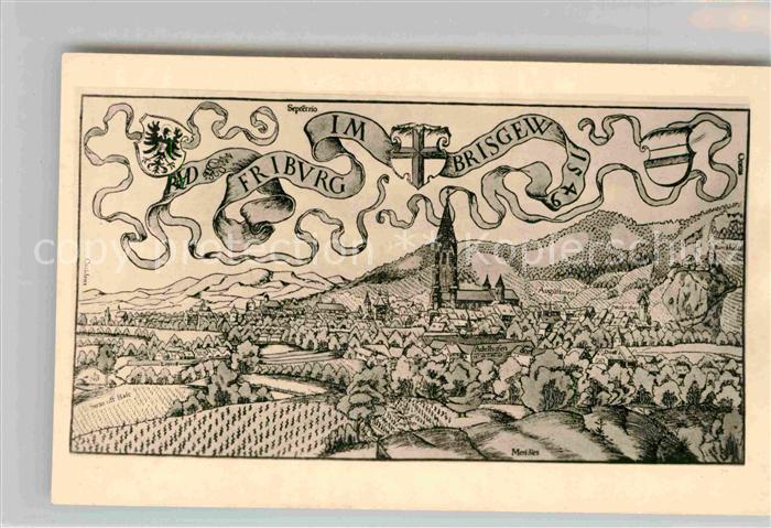 Freiburg Breisgau Panorama Muenster