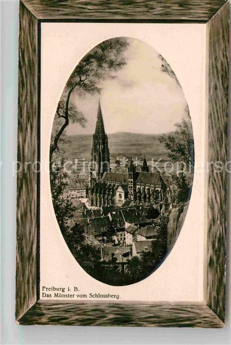 Freiburg Breisgau Muenster vom Schlossberg gesehen