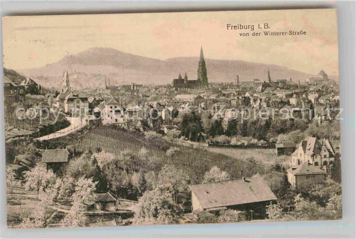 Freiburg Breisgau Blick von der Winterer Strasse
