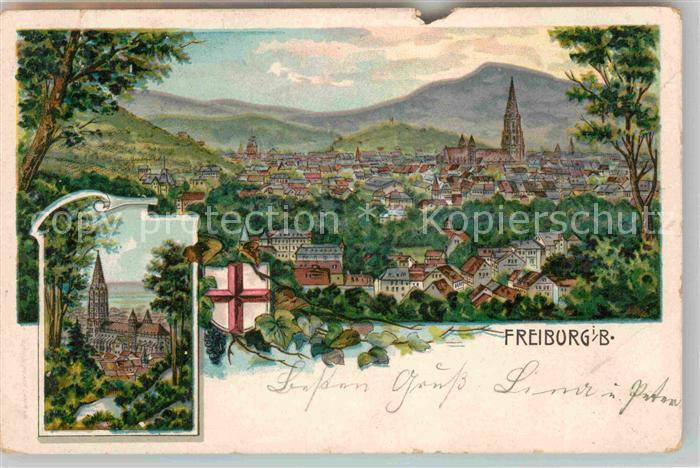 Freiburg Breisgau Panorama Muenster