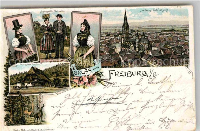 Freiburg Breisgau Muenster Trachtentraeger Schwarzwaldhaus