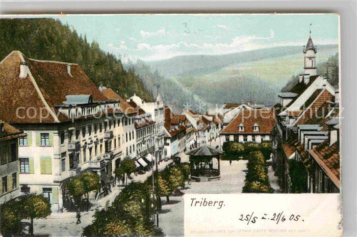 Triberg Schwarzwald Teilansicht