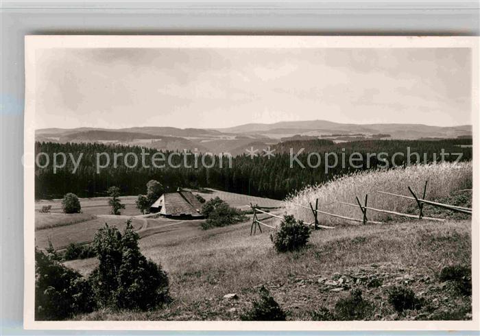 Furtwangen Hoehenhotel Neu Eck mit Feldbergblick